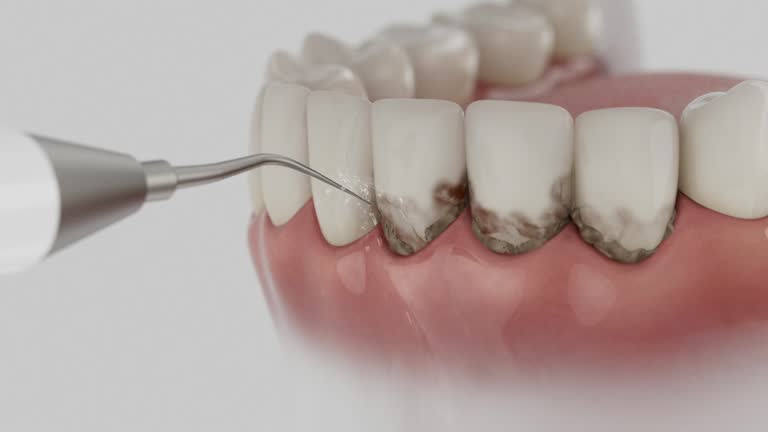Reliable Dental contractor in Chesapeake, VA by Dentist Open Now